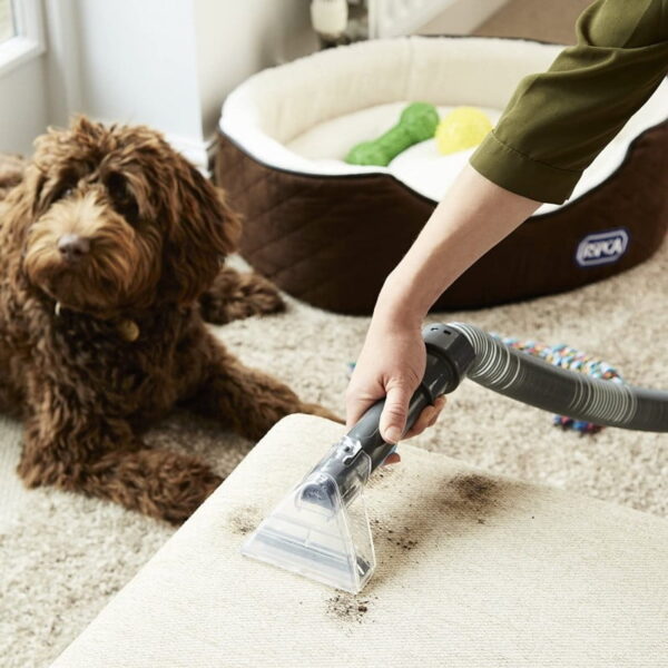 Vax ECR2V1P Dual Power Pet Advance Carpet Cleaner